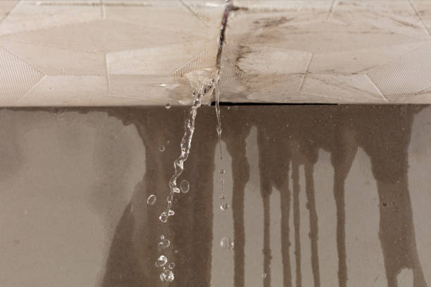 Professional Burst Pipe Cleanup technician working in Olivet, TN